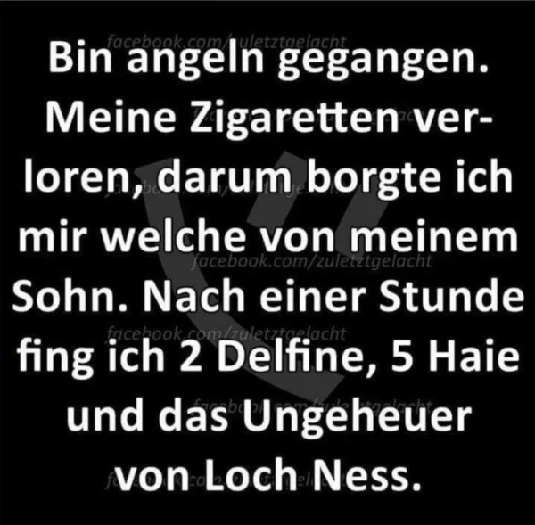 1000215640.webp