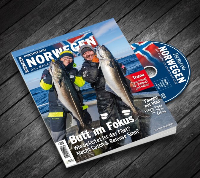 11 ausgabe norwegen.jpg