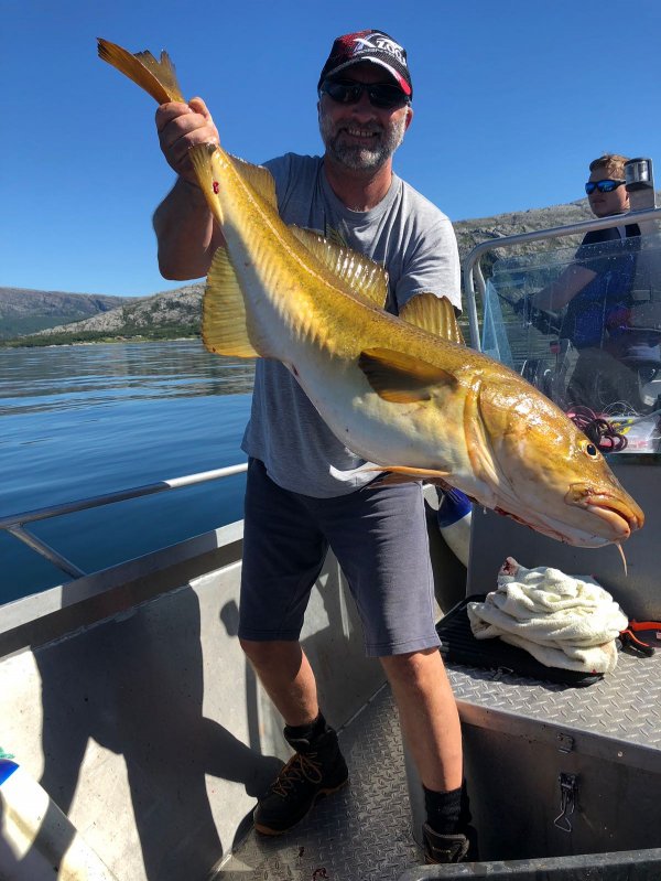 1640093690663.jpeg 1640093690663.jpeg