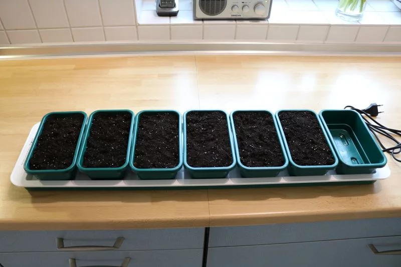 17Chillies.webp