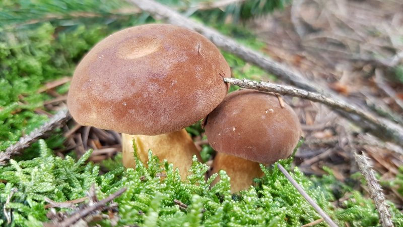20170924_122531.jpg