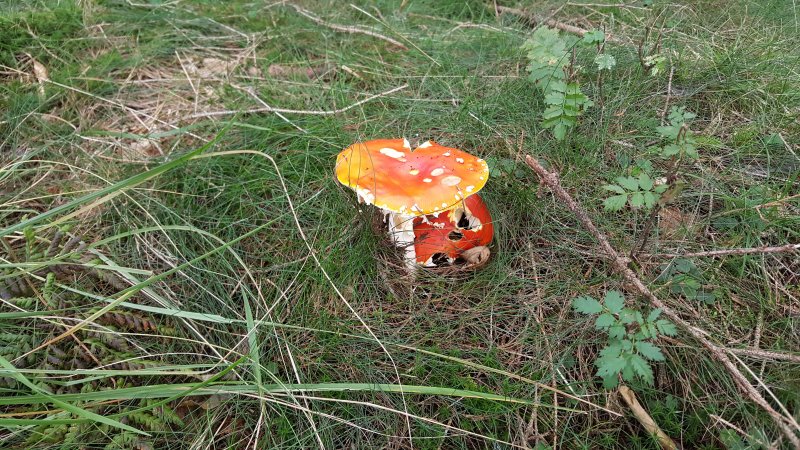 20170924_125324.jpg 20170924_125324.jpg