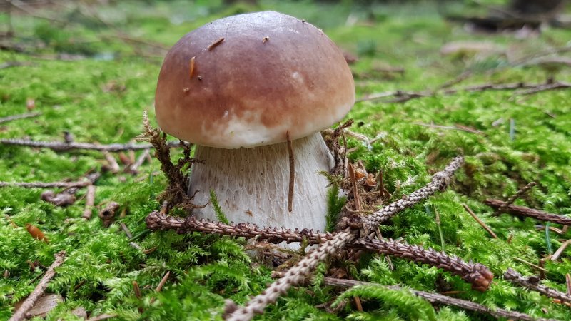 20170924_130724.jpg