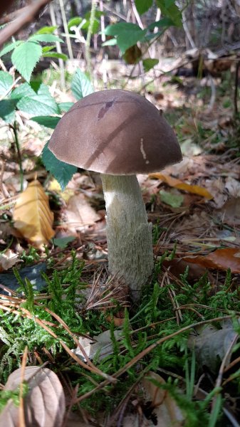20170924_141751.jpg