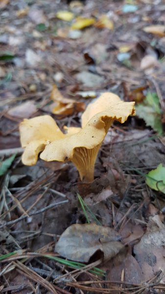 20170924_142717.jpg