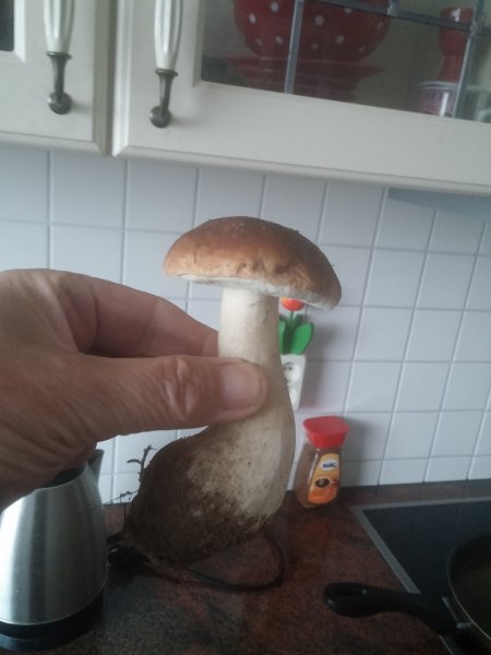 20170926_162030.jpg