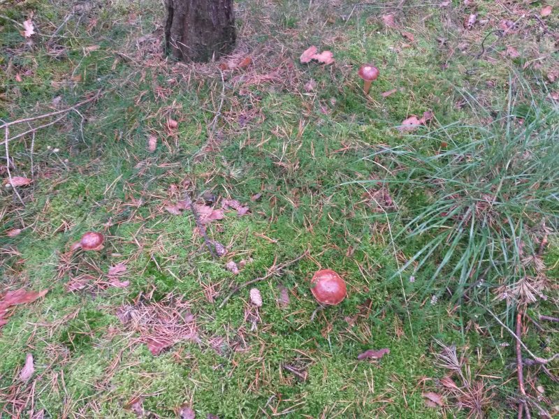 20170928_103133.jpg