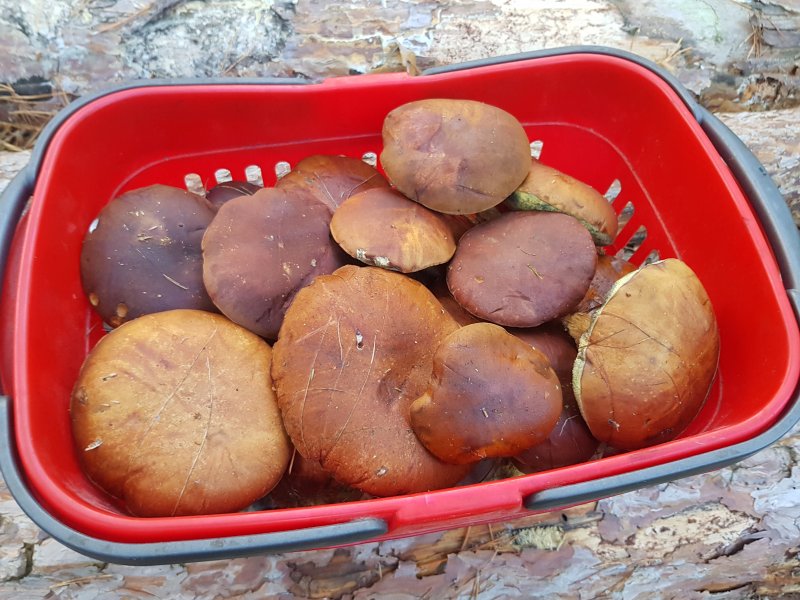 20181106_155121.jpg 20181106_155121.jpg