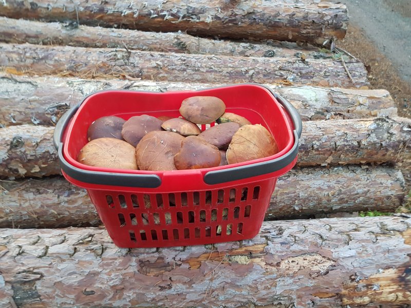 20181106_155141.jpg 20181106_155141.jpg