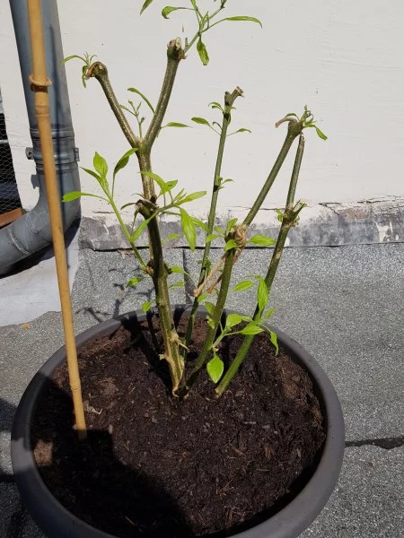 20190410_134835.webp