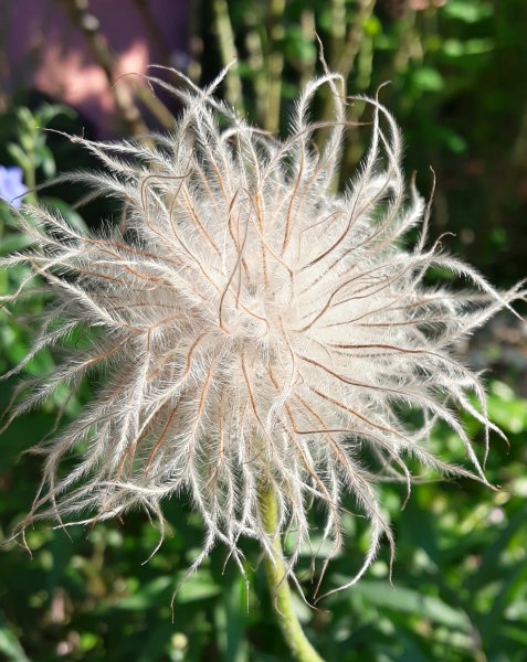 20190618_192933.jpg