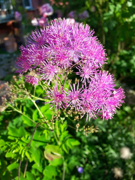 20190627_231148.jpg