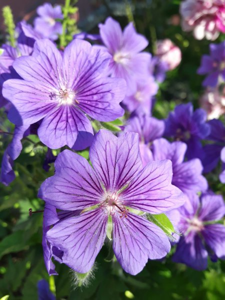 20190627_231305.jpg