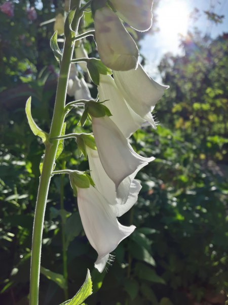 20190627_231333.jpg