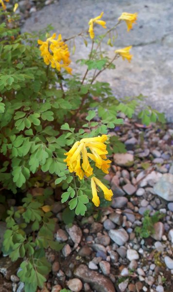 20190630_182520.jpg
