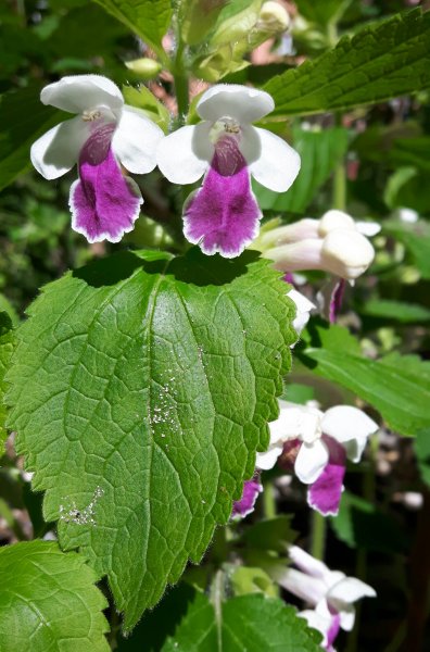 20190630_183016.jpg