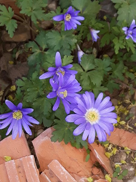 20190630_184105.jpg