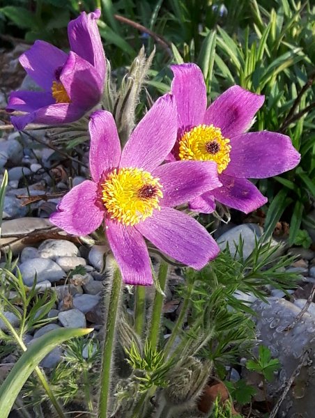 20190630_184147.jpg