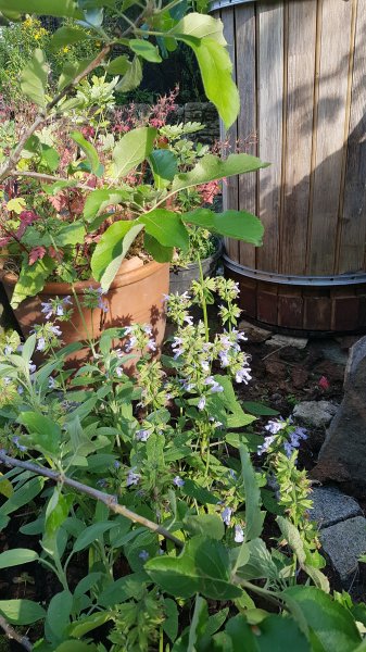 20190701_180814.jpg
