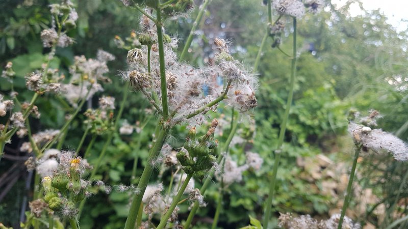 20190701_181246.jpg