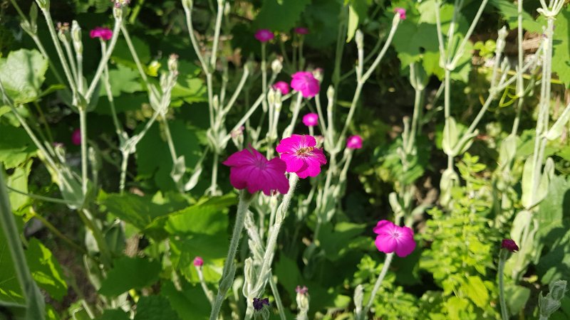 20190701_181539.jpg