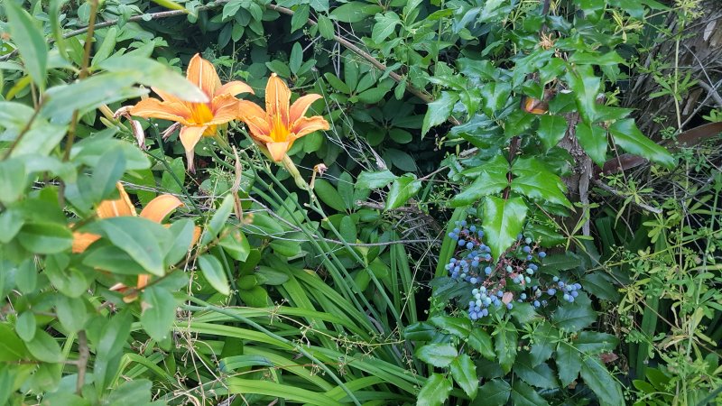 20190701_182225.jpg