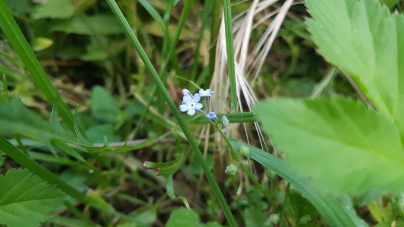 20190701_182314.jpg