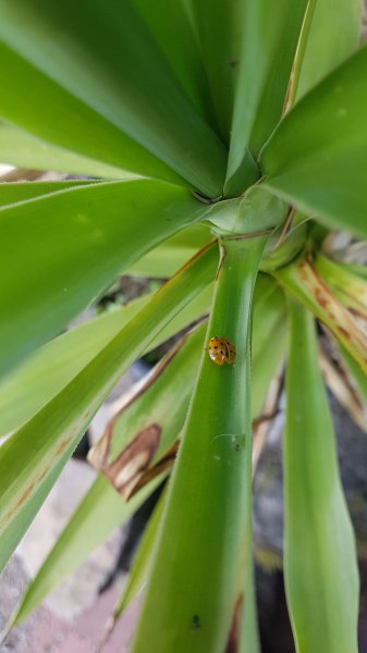 20190701_184006.jpg