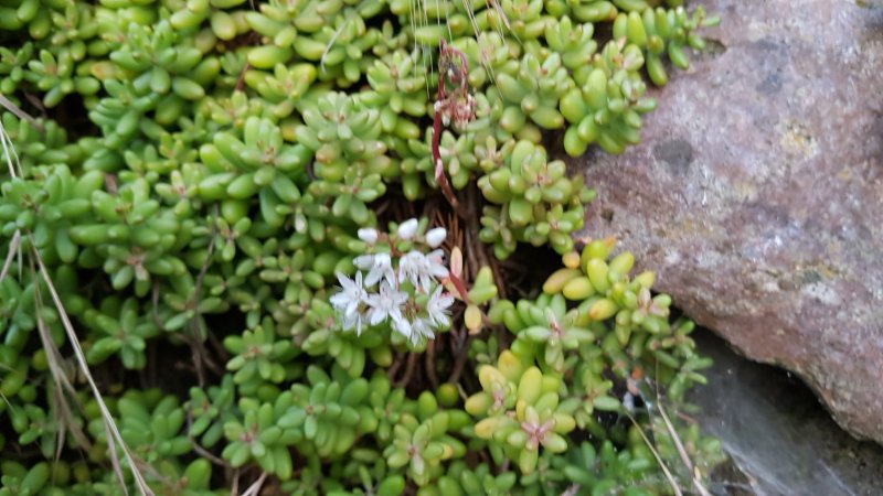 20190701_213047.jpg