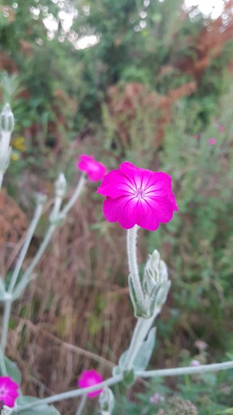 20190701_213534.jpg