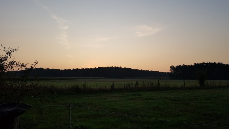 20190831_064127.jpg