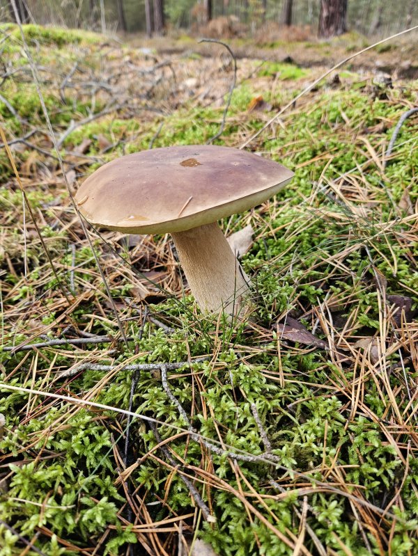 20231017_121607.jpg 20231017_121607.jpg