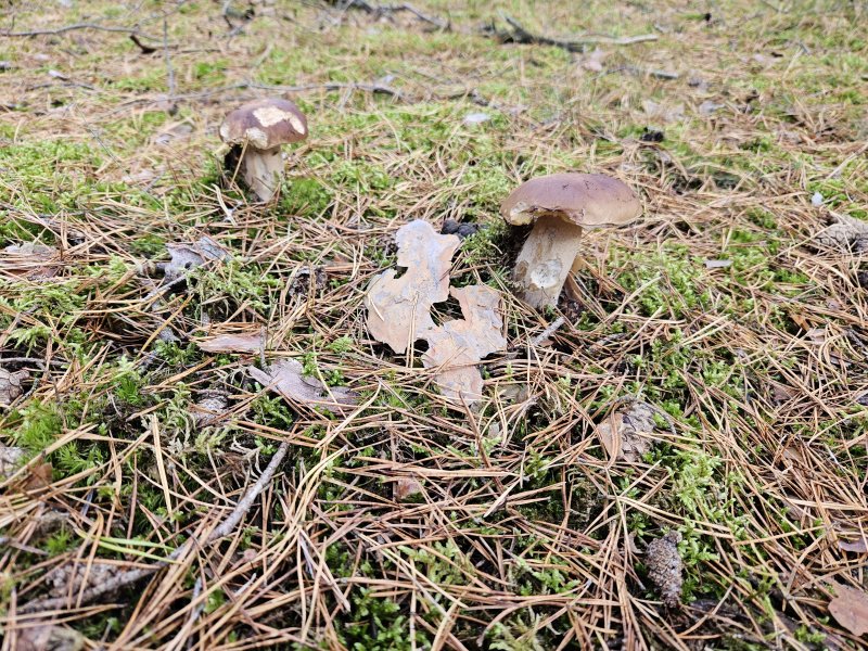 20231017_123647.jpg 20231017_123647.jpg