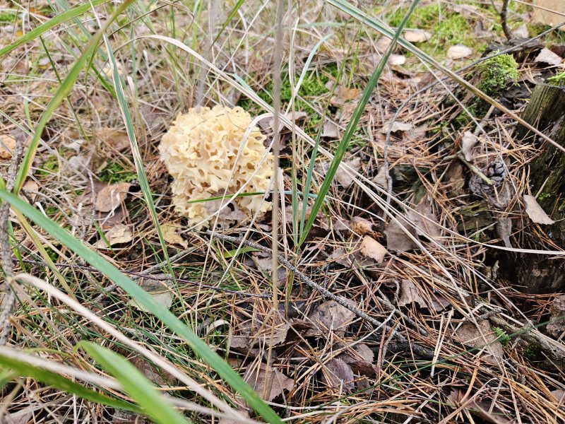 20231017_132159.jpg 20231017_132159.jpg