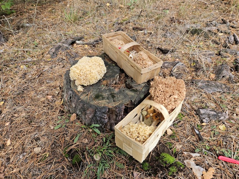 20231017_134212.jpg 20231017_134212.jpg