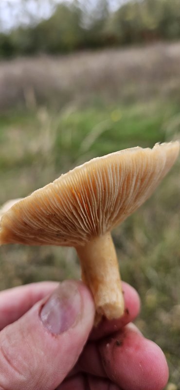 20241014_124731.jpg