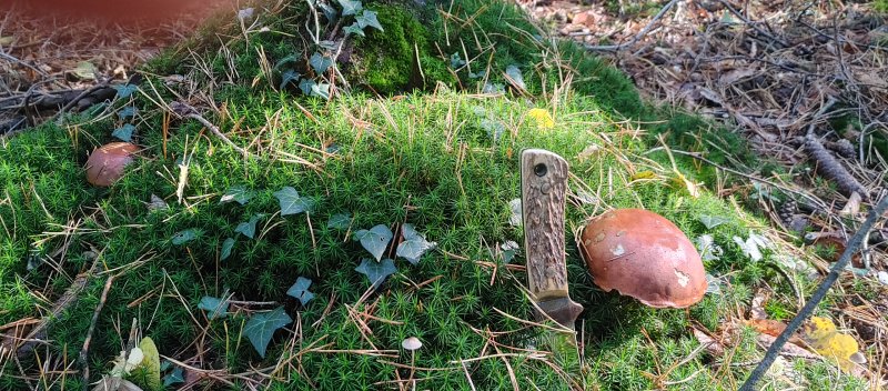 20241015_112018_HDR.jpg