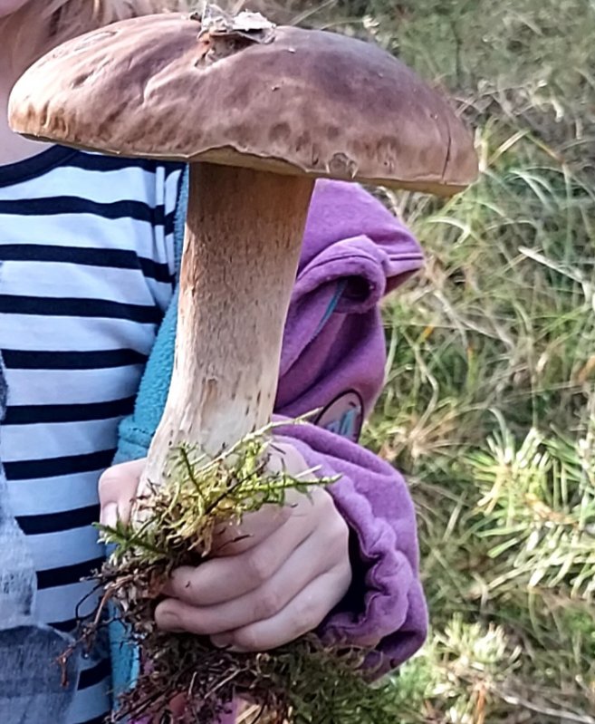 20241018_160927.jpg