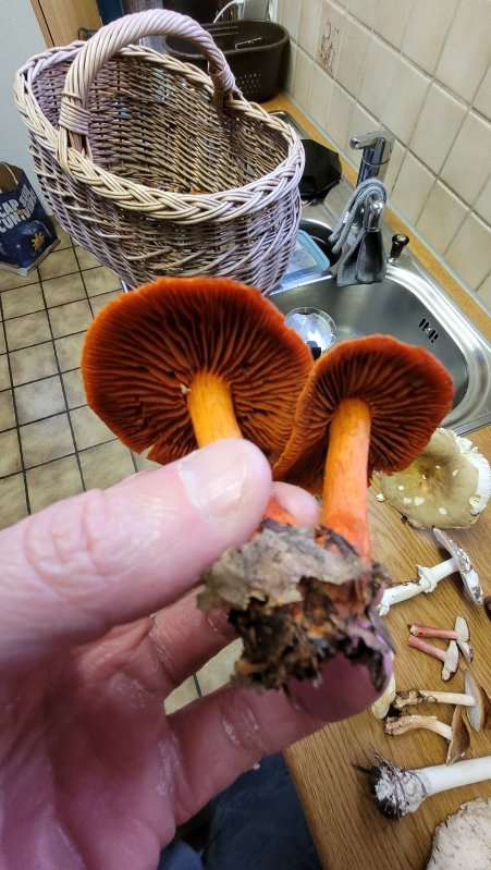 20241019_175024.jpg