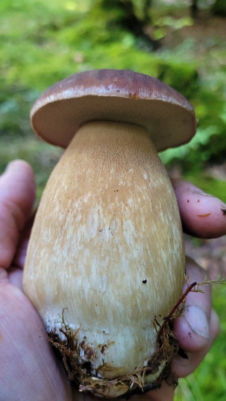 20250905_164751.jpg