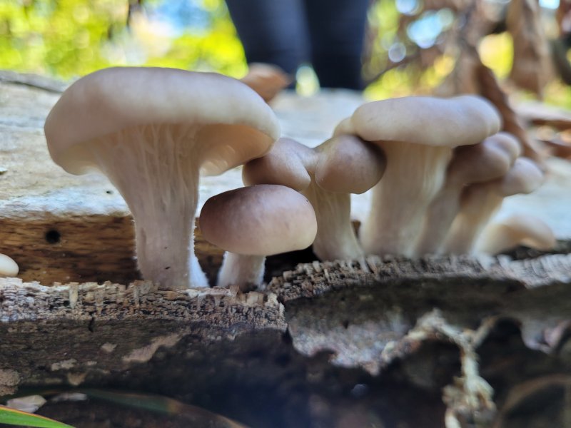 20250928_115340.jpg