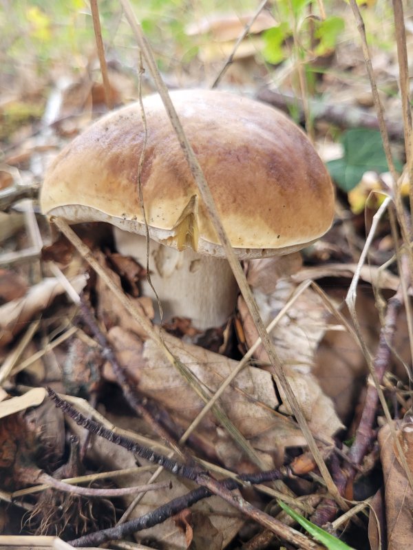 20250928_134402.jpg