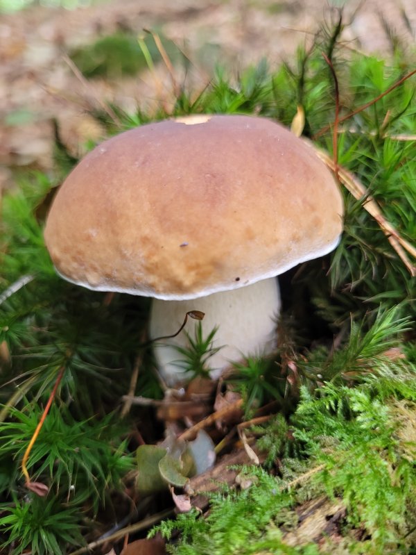 20250928_153146.jpg