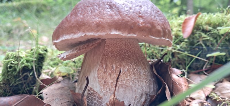 20251003_123849.jpg