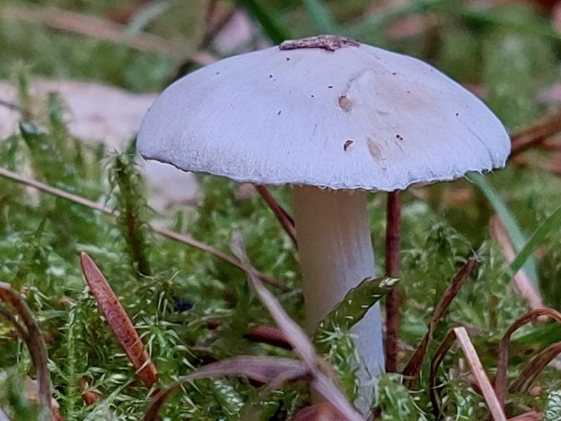 20251021_100356.jpg