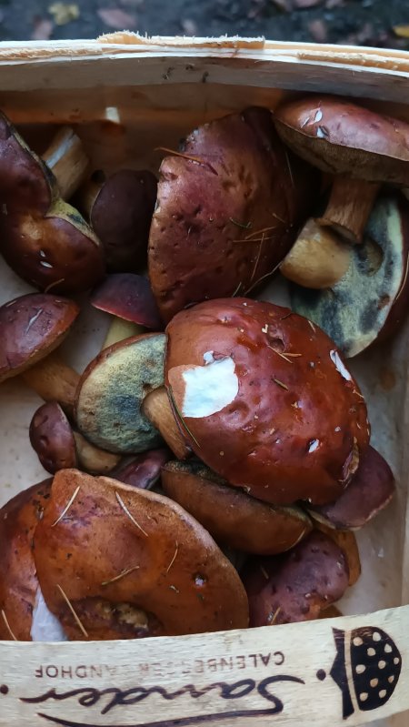 20251030_170128.jpg 20251030_170128.jpg