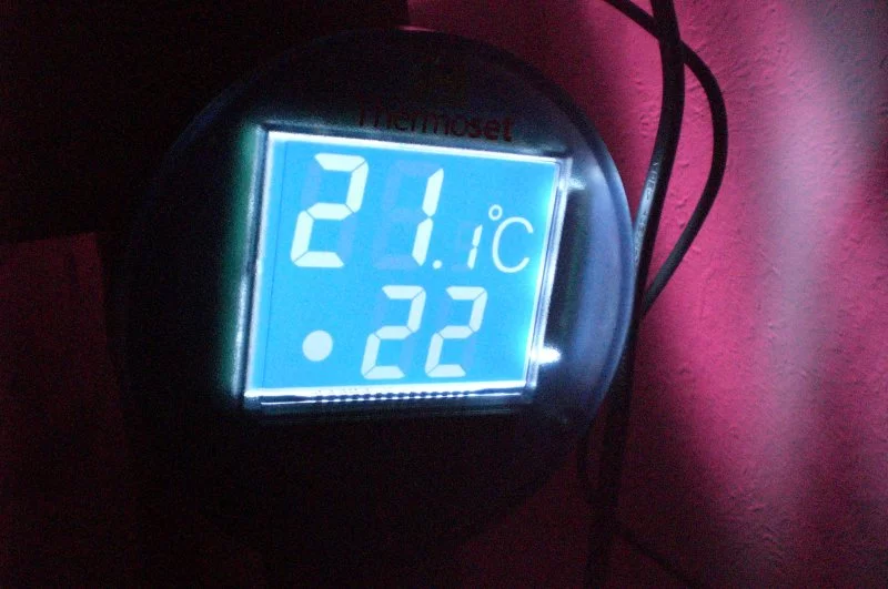 CIMG0881.webp