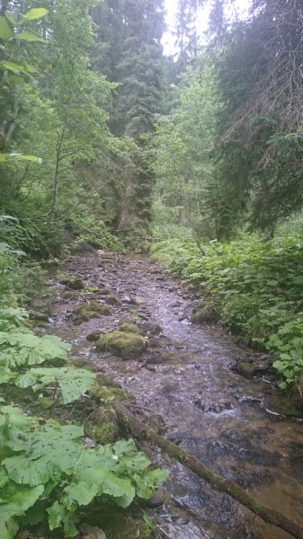 DSC_0087.JPG