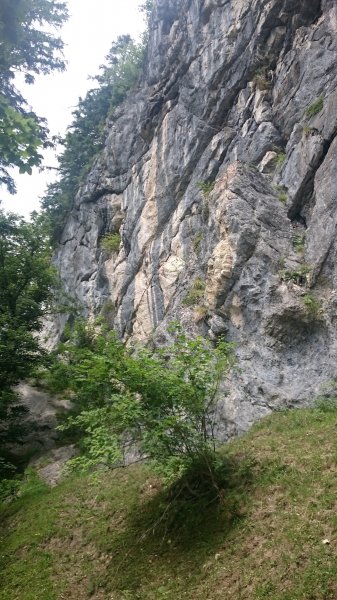 DSC_0100.JPG