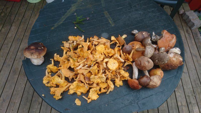 DSC_0824.JPG